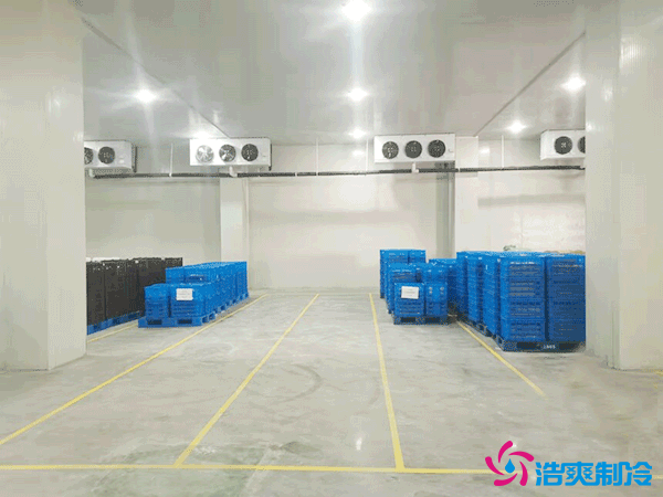 建造萬(wàn)噸級(jí)大型冷庫(kù)造價(jià)大概多少錢？萬(wàn)噸冷庫(kù)造價(jià)影響因素
