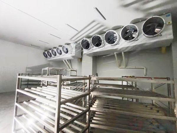 建造1000立方冷凍庫配多大壓縮機(jī)？造價(jià)預(yù)算多少錢？
