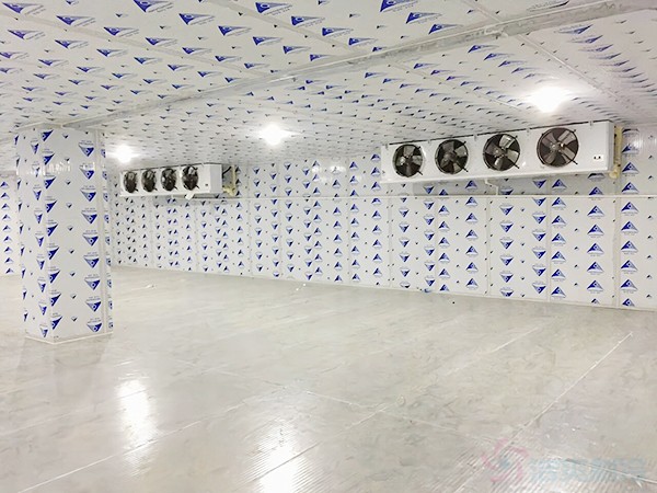 建一個冷凍庫造價需要多少錢一平方？