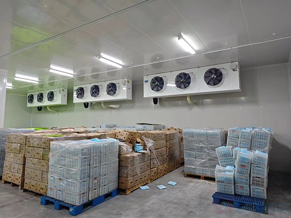 大型工業(yè)藥品冷庫(kù)建設(shè)安裝價(jià)格大概多少錢？
