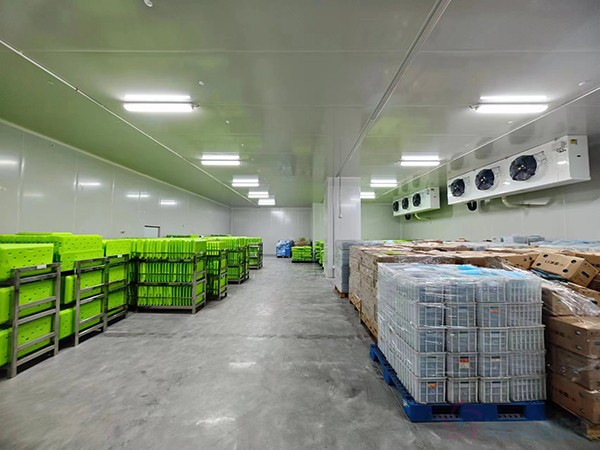 大型工業(yè)藥品冷庫(kù)建設(shè)安裝價(jià)格大概多少錢？