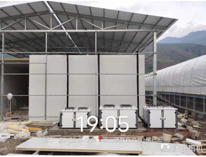 四川桑枝食用菌現(xiàn)代農業(yè)園區(qū)氣調保鮮冷庫工程建造案例