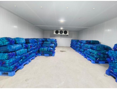 云南保山(食用菌）羊肚菌烘干房設(shè)計建造案例