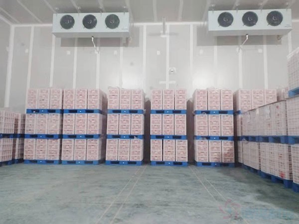 氣調(diào)保鮮庫造價