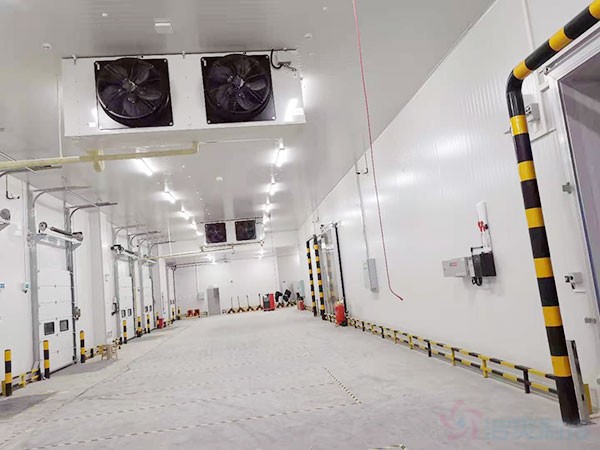 萬噸大蒜冷庫造價(jià)