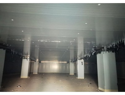 浙西南大宗物資倉(cāng)配交易中心農(nóng)產(chǎn)品深加工基地冷庫(kù)工程案例